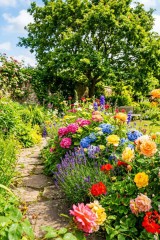 garden flowers