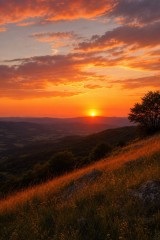 golden sunset