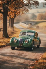 sports car 50s